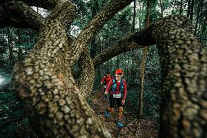 BIB: 
                            <button type="button" onclick="openModal(25393963)" class="btn btn-primary btn-sm float-right btn-popup" data-toggle="modal" data-target=".modal-high-quality">
                        <i class="fas fa-shopping-cart"></i> Add to Cart
                    </button>
                                            <button type="button" onclick="isThisMe(25393963, true)" class="btn btn-success btn-sm float-right btn-popup btn-isme hidden" data-toggle="tooltip" data-placement="bottom" title="นี่คือรูปของคุณใช่ไหม คลิกที่นี่เพื่อเอาเข้าอัลบั้ม">
                        <i class="fas fa-plus"></i> Add to album
                    </button>
                    <button type="button" onclick="isThisMe(25393963, false)" class="btn btn-warning btn-sm float-right btn-popup btn-isnotme hidden">
                        <i class="fas fa-ban"></i> Remove from album
                    </button>